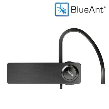 BlueAnt Q1