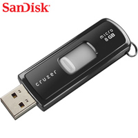 SanDisk 2GB USB Flash Drive