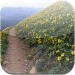 Download Trailguru in iTunes