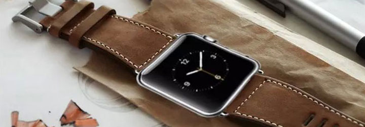 Are apple 2025 watch straps interchangeable
