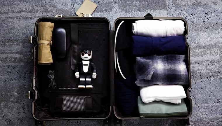 suitcase