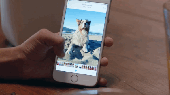 How to take better photos on your iPhone 7 or iPhone 7 How to take better photos on your iPhone 7 or iPhone 7