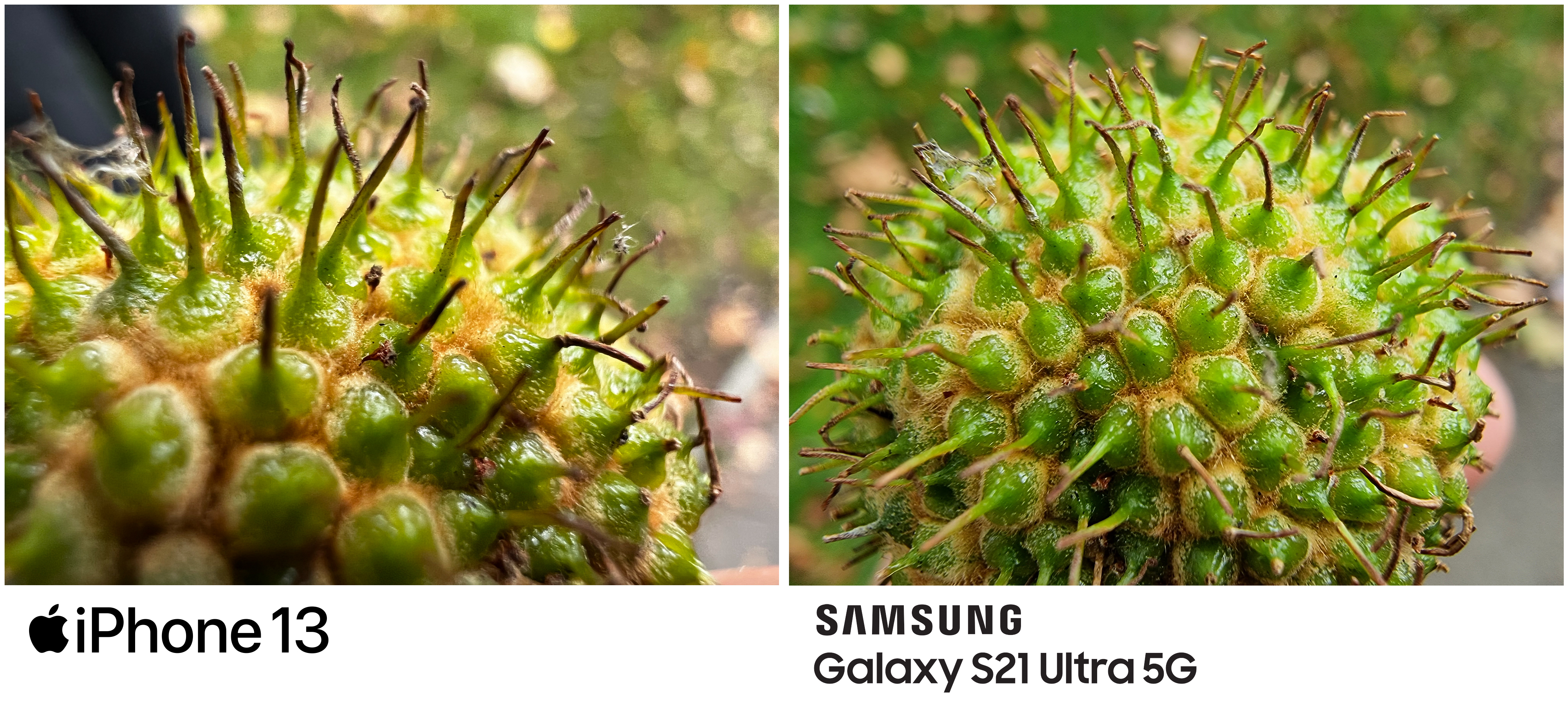 iPhone 13 Pro Max vs Samsung Galaxy S21 Ultra Camera Test