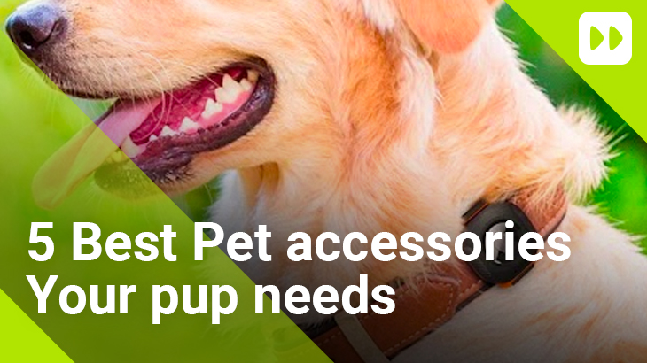 Pet accessories
