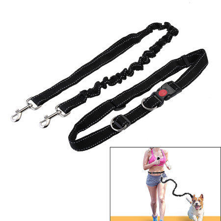 Pet accessories 